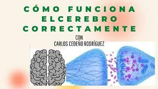 ¨Cómo funciona el cerebro correctamente¨, Con Carlos Cedeño Rodríguez