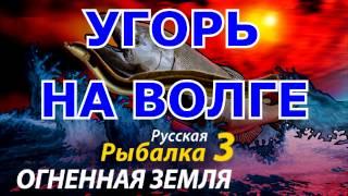 Русская рыбалка 3 Угорь на Волге