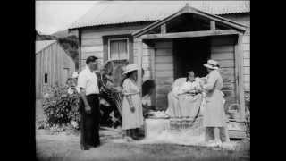 Tuberculosis and the Maori People of the Wairoa District (1952)