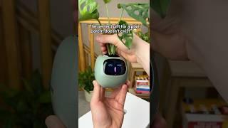“The perfect gift for a plant parent doesn’t exist” 