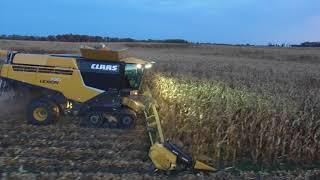 Organic Field Corn 16 row head!!!