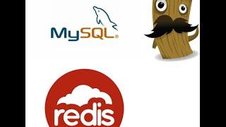 How to store data from MySQL to Redis using Logstash