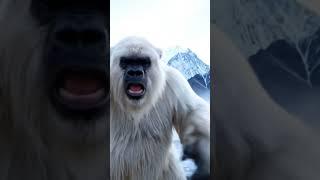 Yeti Vlog dancing tiktok viral trends #yeti