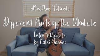 [aNueNue Tutorials] Different Parts of the Ukulele [with Kalei from aNueNue USA]