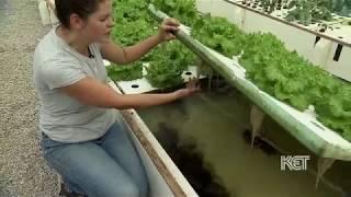 KSU Aquaculture | Kentucky Life | KET