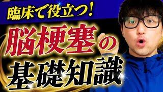 【脳卒中】職場で役立つ基礎知識を解説します