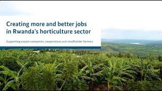 Creating More and Better Jobs In Rwanda's Horticultural Sector