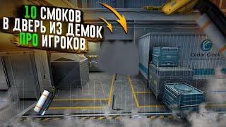 10 Смоков В Дверь На Нюке От ПРО Игроков | CS : GO