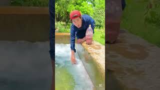 My village flower beautiful view #shorts #shortvideo #youtubeshorts #trending #viralvideo #nature