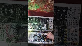 Carousel Chaos #eurorack #synth #electronicmusic #modular #eventide #misha #makenoise #morphagene
