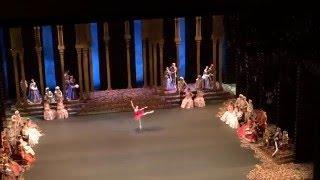 Па де де вариации Китри. Светлана Захарова/Svetlana Zakharova in Don Quixote