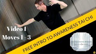 FREE Introduction to Awareness Tai Chi | Video 1 Moves 1 - 3