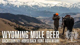 High Country Mule Deer Hunt