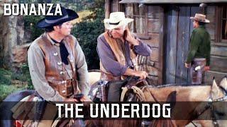 Bonanza - The Underdog | Episode 180 | Classic Western | TV Series | Wild West | English