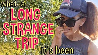 WHAT HAPPENED?!? Heading Back From Australia: What a Long, Strange Trip It’s Been