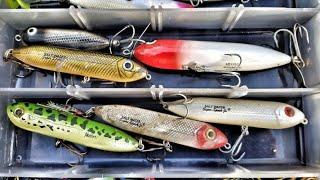 Topwater Tips! Where and When!