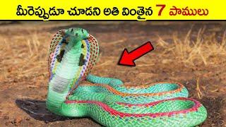  మతిపోగొట్టే పాములు | strangest & most unique snakes in the world | unique snakes in the world