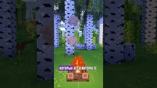 я добавил АЛКО**ЛЬ на ПРИВАТНЫЙ сервер Minecraft  #ванильныйсервер #майнкрафт #майнбилд