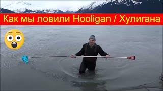 Как мы ловили Hooligan / Хулигана. Hooligan fishing in Alaska. Рыба - Хулиган или Рыба - Свеча