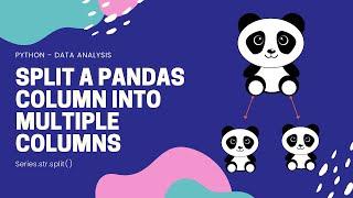 SPLIT PANDAS COLUMN | How to split items into multiple columns in a dataframe (Python)