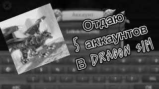 Отдаю аккаунты в Dragon sim! (5 акков!)