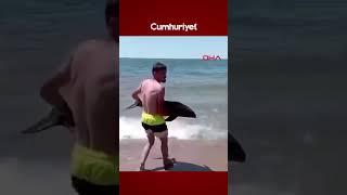Kıyıya vuran yaralı yavru yunus denize bırakıldı