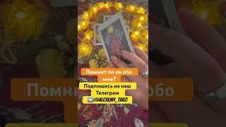 Помнит ли он обо мне? #таро #shortsтаро #алхимия