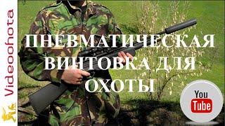 Пневматическая винтовка для охоты!Videoohota
