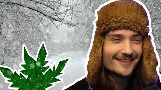 WALKING THROUGH A BLIZZARD FOR WEED