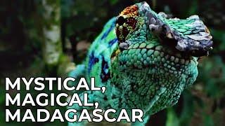 Madagascar - Mystical Island Paradise in the Indian Ocean | Free Documentary Nature