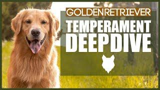 GOLDEN RETRIEVER TEMPERAMENT