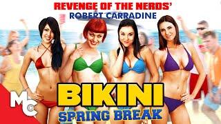 Bikini Spring Break | Full Movie | Crazy Comedy | Robert Carradine