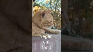 Vegan cat food