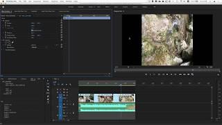 10. Как повернуть видео вертикально или горизонтально в Premiere Pro