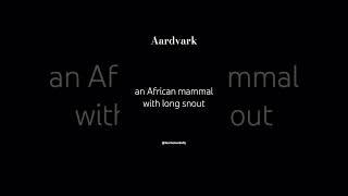 Aardvark(n.)  #shorts #youtubeshorts #learnewordaily