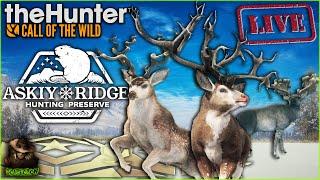 612 Bucks Into The Great One Mule Deer Grind! Things Are POPPING OFF! Call of the wild