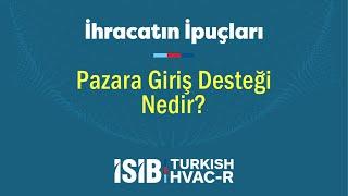 Pazara Giriş Desteği Nedir?