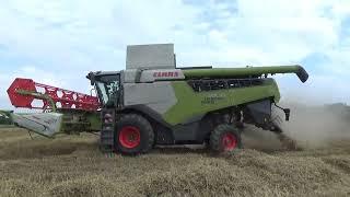 CLAAS lexion5300 moisson 2023