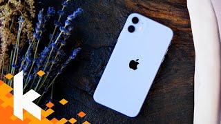 iPhone 11 review - Die kluge Wahl?