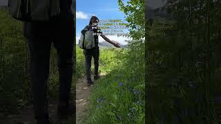 We asked to the fairies  #travelcouple #hikinglife #travellif#geekcouple #geeks #nerds