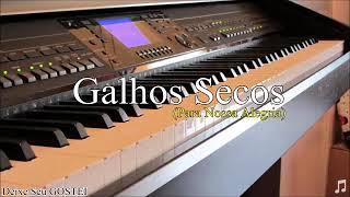 Galhos Secos (para nossa alegria) -  Leonardo Lucio