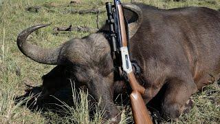 Test on Buffalo Hunting Pedersoli Boarbuster Evolution 45-70 Contessa Mount&Muzzlebreak BP106 Powder