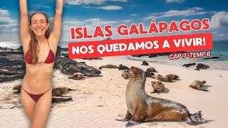 La MEJOR PLAYA de Sudamérica + tortugas gigantes Viajeros se ENAMORAN de Galápagos️