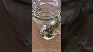Homemade Iced Coffee || Do It Yourself || Craving Satisfied || GAMO Production
