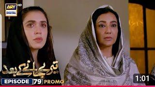 New! Teray Janay Kay Baad Episode 79 | ARY Digifil Drama