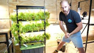 DIY Home Hydroponics: Indoor Vertical System Set Up & Timelapse