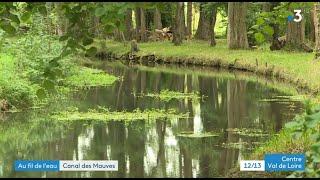 Un été au fil de l'eau : la rivière des Mauves - JT 19/20 France 3 Centre-Val de Loire