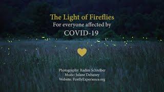 The Light of Fireflies