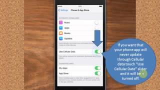 Iphone 6 plus Turn on and off auto update of app