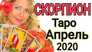 СКОРПИОН АПРЕЛЬ 2020/СКОРПИОН ТАРО на АПРЕЛЬ 2020